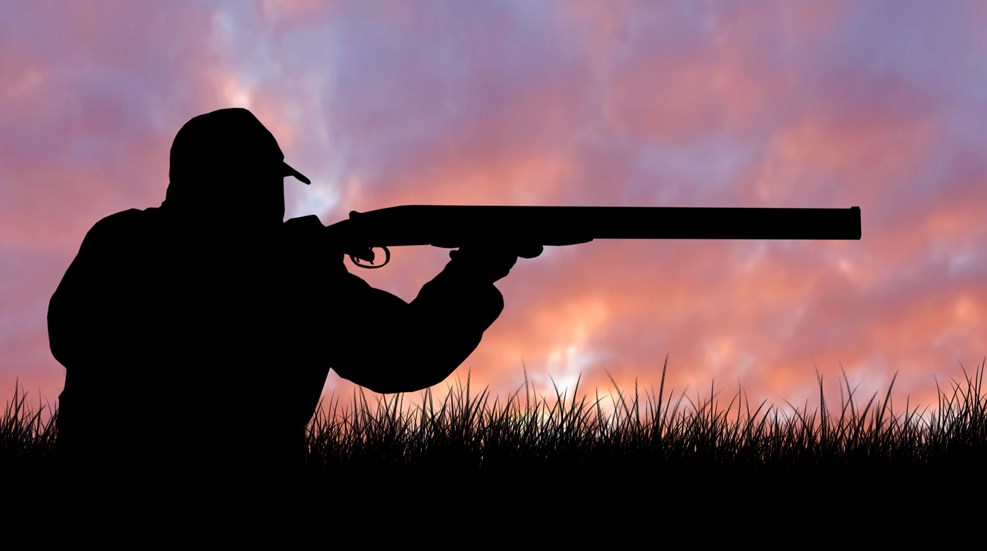 Adobestock 319317216